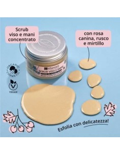 La Saponaria - Nice to meet... 2